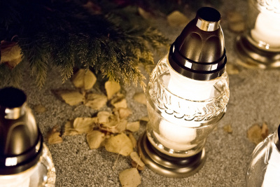 Obraz goszka z Pixabay