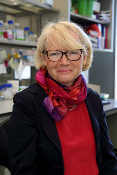 Prof. Krystyna Bieńkowska-Szewczyk