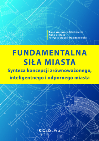 Okładka publikacji