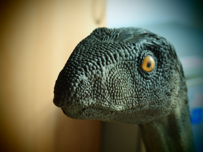 Silesaurus