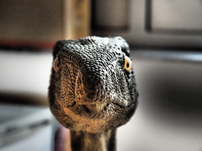 Silesaurus