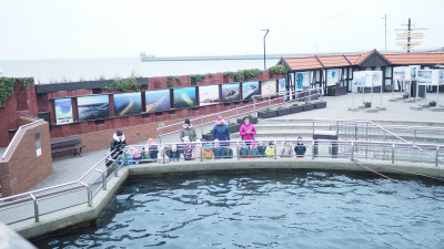 fot. Marcel Jakubowski