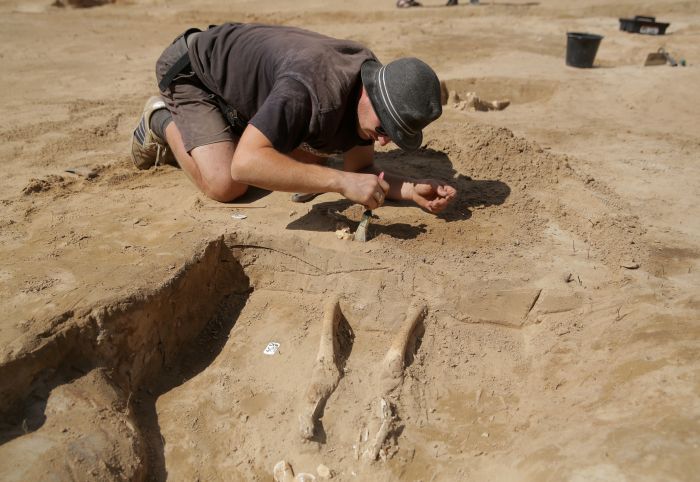 fot. PAP/Tomasz Waszczuk