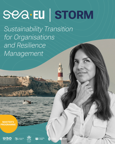 STORM Grafika pion