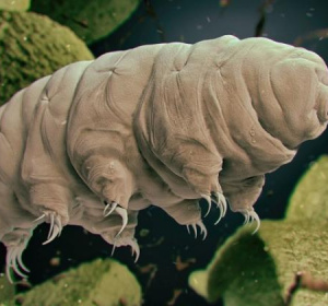 Fot. Naukawpolscepap