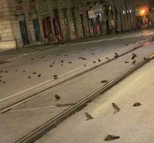 Fot. Wyborcza Trojmiasto