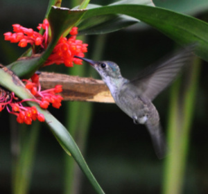 Źródło: www.ug.edu.pl