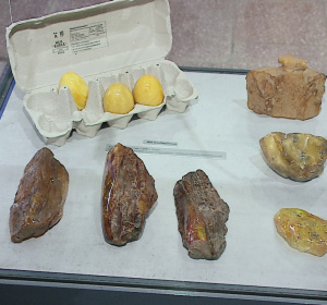 Fot. Marek Trybański/TTM