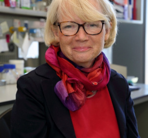 prof. Krystyna Bieńkowska - Szewczyk