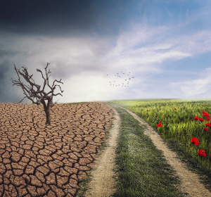 Image by Enrique from Pixabay