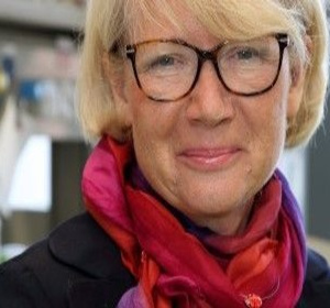 Prof. Krystyna Bieńkowska - Szewczyk