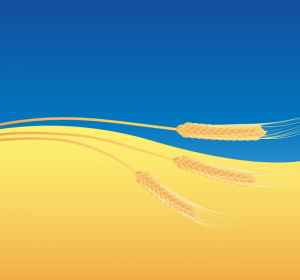 Image by Agata from Pixabay