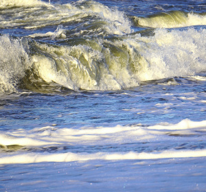 Obraz Nowaja z Pixabay