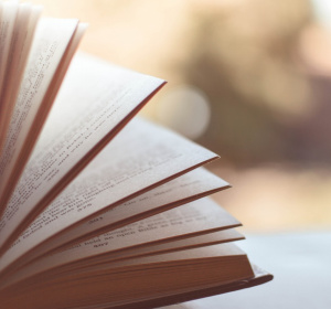 Image by Pexels from Pixabay