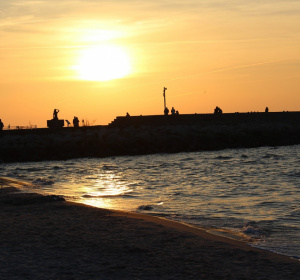 Fot. Jacek Woźniak/pixabay