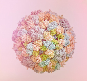 Image by Lakshmiraman Oza from Pixabay