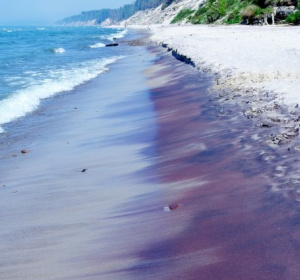 Foto: Marek Bazak/ Zofia Bazak /East News. Żródło: RMF.FM