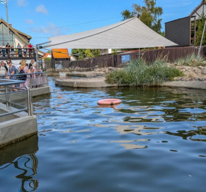 Fokarium w Helu, fot. polskieszlaki.pl