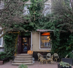 fot. Jakub Wegner/Trojmiasto.pl  Czytaj więcej na: https://www.trojmiasto.pl/wiadomosci/Spor-o-bluszcz-w-centrum-Gdanska-n198307.html