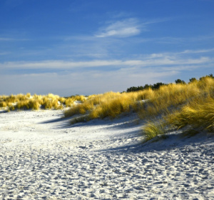 Image by Peggychoucair from Pixabay