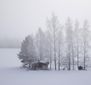 Image by Mikko from Pixabay