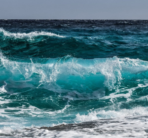 Image by Dimitris Vetsikas from Pixabay