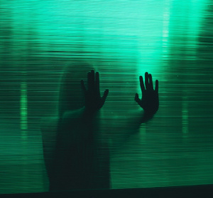 Image by Sergey Gricanov from Pixabay