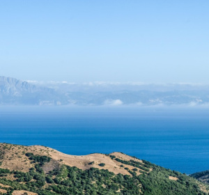 Image by Manolo Franco from Pixabay