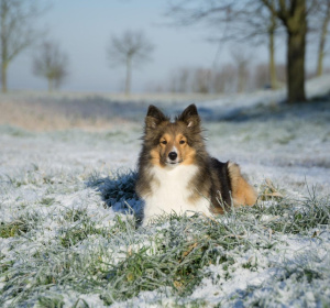 Image by Mr_niceshoot from Pixabay