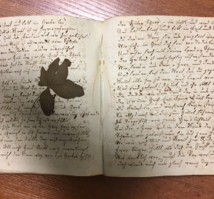 fot. dr Radosław Kubus