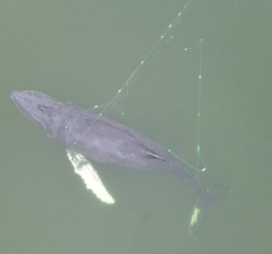 Sebastian Kluska / X