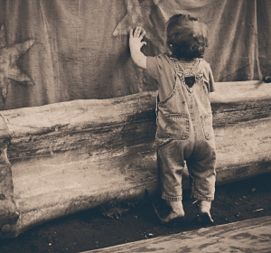 Image by Ryan McGuire from Pixabay