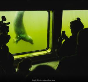 Fot. Karol Makurat/Zawsze Pomorze