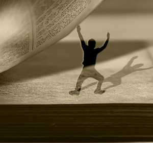 Image by Moshe Harosh from Pixabay