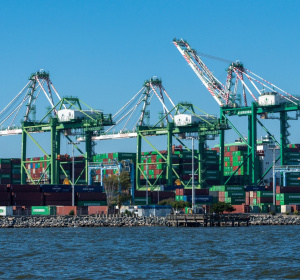 Image by Zandria Ross from Pixabay