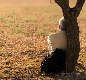 Image by Jose Antonio Alba from Pixabay