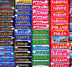 Image by jacqueline macou from Pixabay