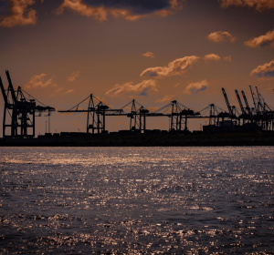 Image by minka2507 from Pixabay