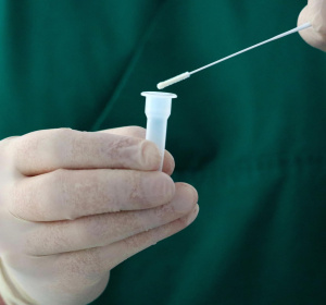 Image by Thomas G. from Pixabay