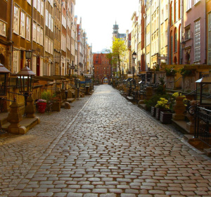 Image by Gosia K. from Pixabay