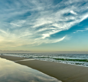 Image by Dariusz Robert Drewnicki from Pixabay