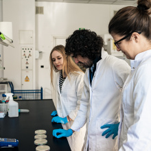 Interview with Dr. David Saliba