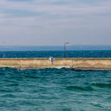 Photo: Alan Stocki/UG