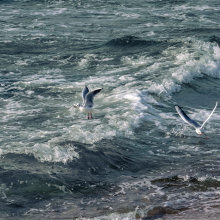 Photo: Alan Stocki/UG