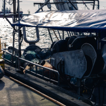 Photo: Alan Stocki/UG