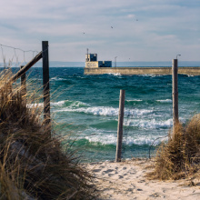 Photo: Alan Stocki/UG