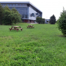 Campus next to the Faculty of Philology and History