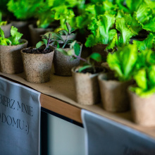 Photo by Alan Stocki