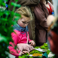 Photo by Alan Stocki