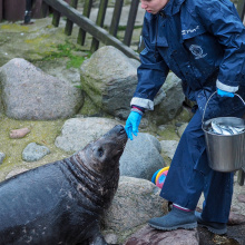 fot. Marcel Jakubowski